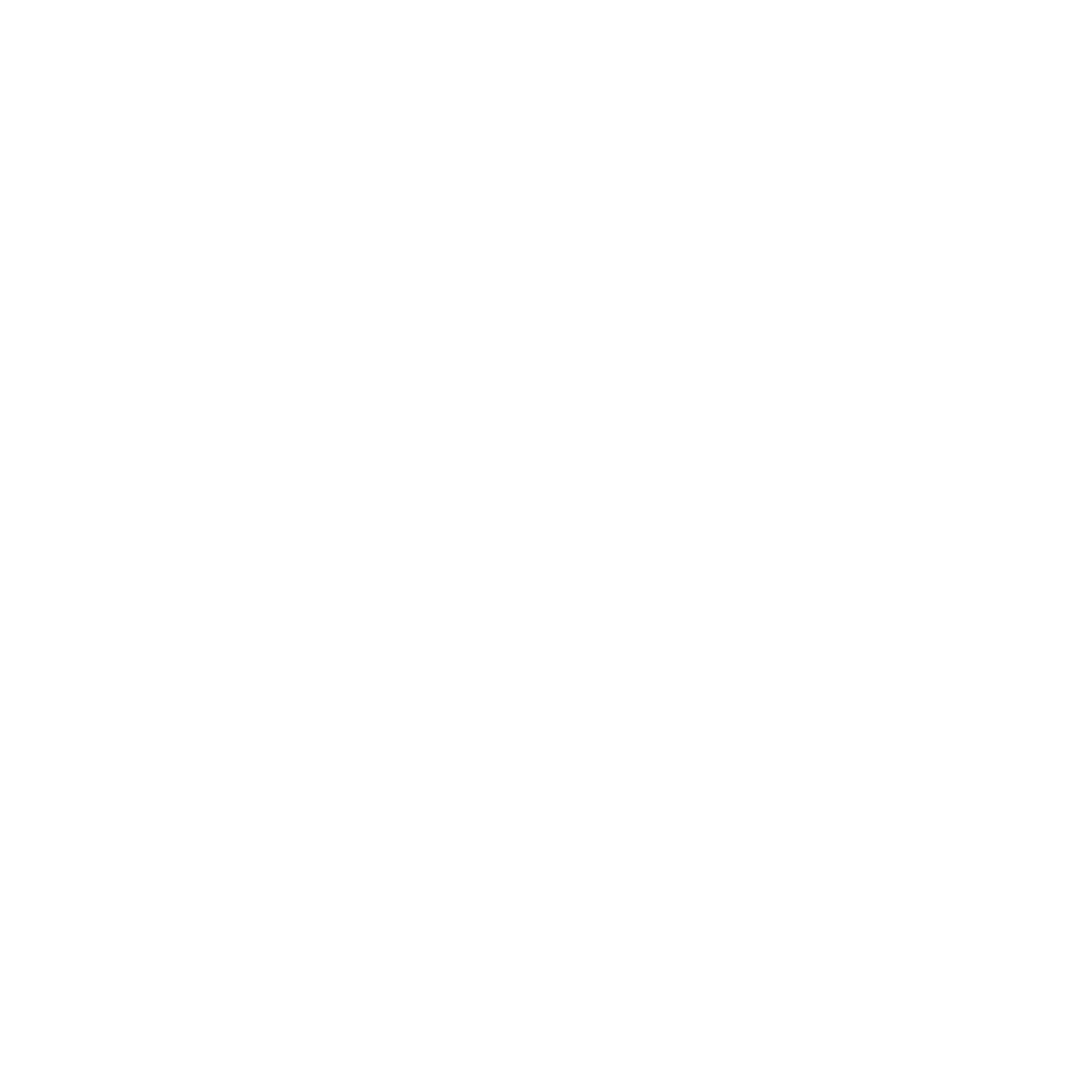 Rockstoana Logo